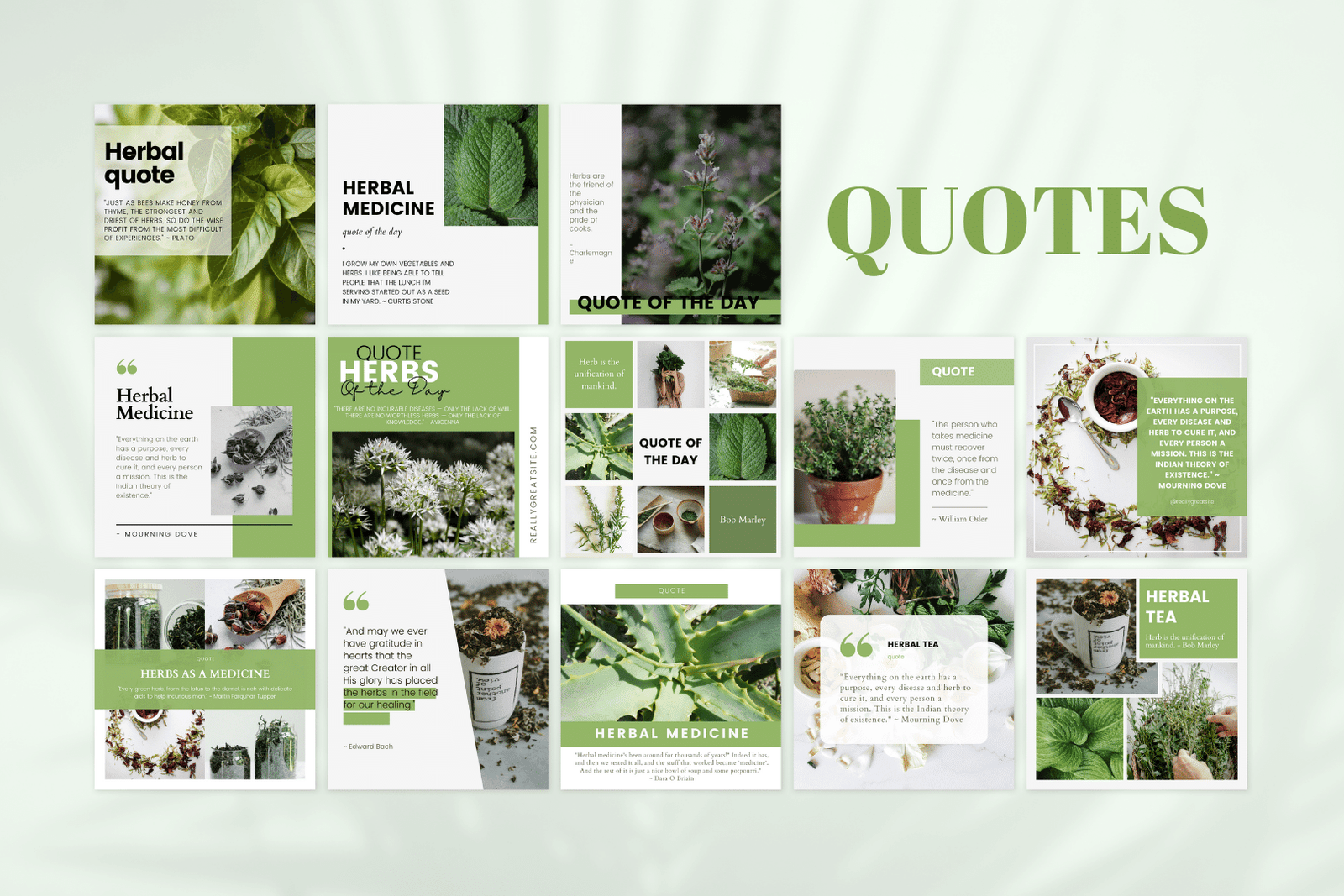 200 plantillas de medicina herbal para redes sociales - Image 3