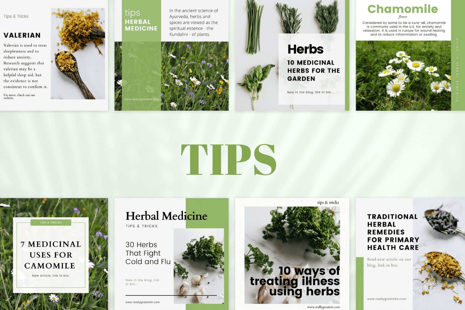 200 plantillas de medicina herbal para redes sociales - Image 5